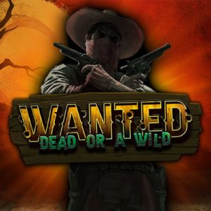 Wanted Dead or a Wild