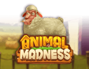 Animal Madness