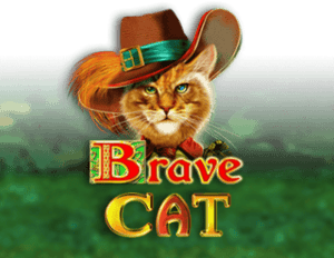 Brave Cat