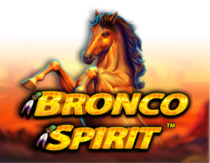 Bronco Spirit