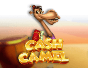 Cash Camel