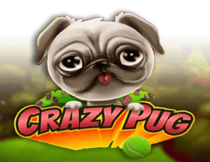 Crazy Pug