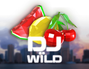 DJ WÏLD