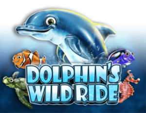 Dolphin’s Wild Ride