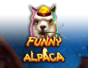 Funny Alpaca