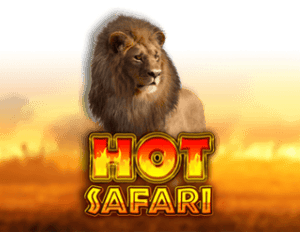 Hot Safari