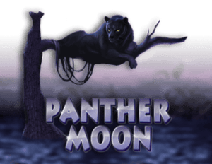 Panther Moon