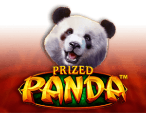 Prized Panda