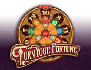 Turn Your Fortune