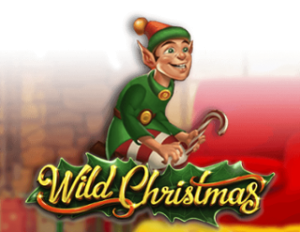 Wild Christmas