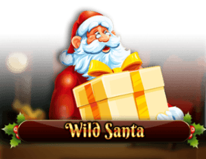 Wild Santa