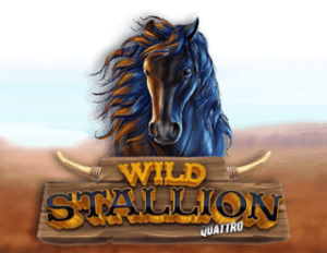 Wild Stallion