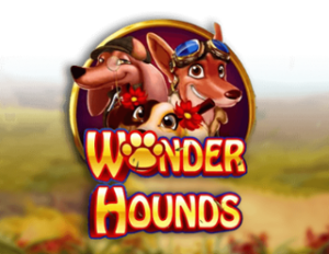 Wonder Hounds 95