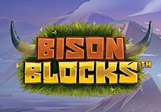 Bison Blocks