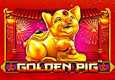 Golden Pig