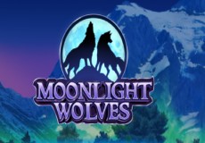 Moonlight Wolves