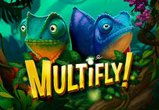 MultiFly