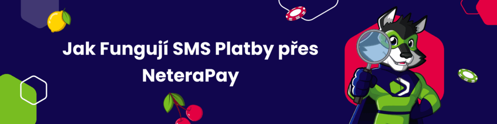 Jak Fungují SMS Platby přes NeteraPay