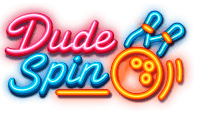 DudeSpin logo